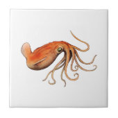 DAS GROSSE FLIESE (Vorderseite)