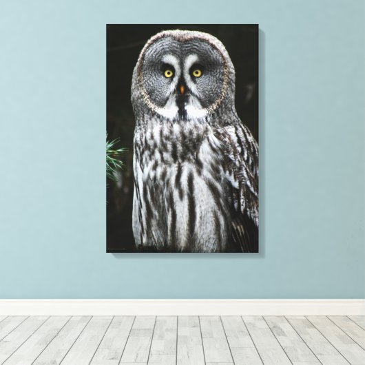 Das große graue Owl 16x24 (40x60cm) waccna Leinwanddruck (Insitu (Holzboden))