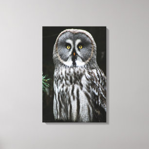 Das große graue Owl 16x24 (40x60cm) waccna Leinwanddruck