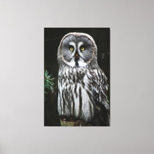 Das große graue Owl 40x60 (100x150cm) waccna Leinwanddruck