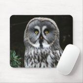 Das große graue Owl mpcnm Mousepad (Mit Mouse)