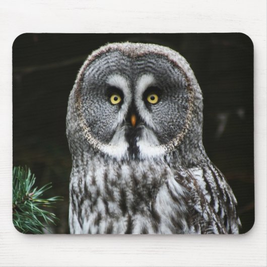 Das große graue Owl mpcnm Mousepad (Vorne)