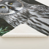 Das große graue Owl sba Sherpadecke (3/4)