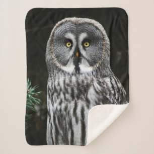 Das große graue Owl sba Sherpadecke
