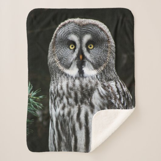Das große graue Owl sba Sherpadecke (Vorderseite)