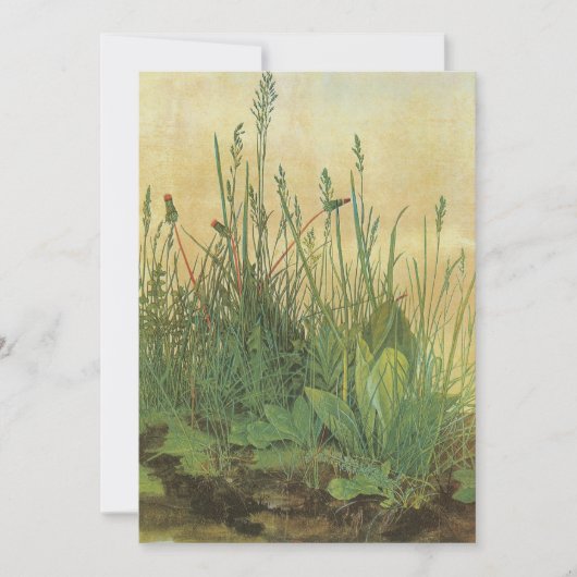 Das große (große) Stück Turf von Albrecht Durer (Vorderseite)