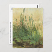 Das große (große) Stück Turf von Albrecht Durer Postkarte (Vorne/Hinten)