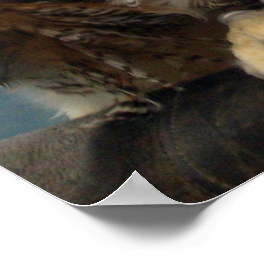 Das große Hornhühnerposter Poster (Ecke)