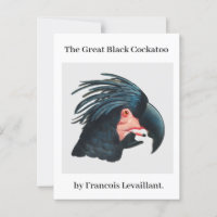 Das Große Schwarze Kakadu von Francois Levaillant.