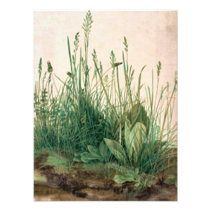Das große Stück Turf von Albrecht Durer Fotodruck
