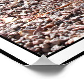 Das große Turtle & Snail Race Poster (Ecke)