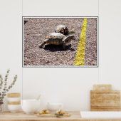 Das große Turtle & Snail Race Poster (Küche)