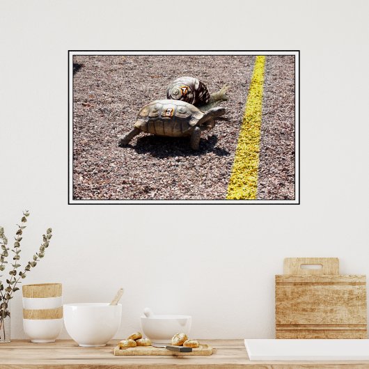 Das große Turtle & Snail Race Poster (Küche)