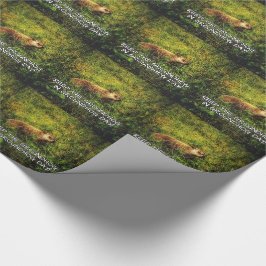 Das Groundhog in Groundhog Day Packpapier behalten (Ecke)