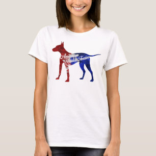 Das grundlegende T-Shirt der amerikanischen