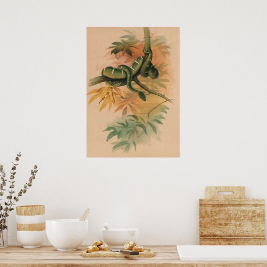 Das grüne Boa von Joseph Wolf Poster (Küche)