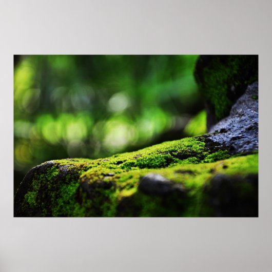 Das grüne Leben Poster (Vorne)