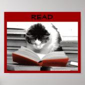 Das gut gelesene Katzenliteratur-Poster Poster (Vorne)