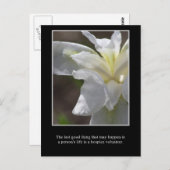 Das Gute an einem Freiwilligen im Krankenhaus Postkarte (Vorne/Hinten)