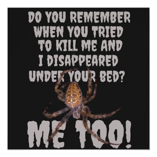 Das Halloween der Spinne Poster (Vorderseite)