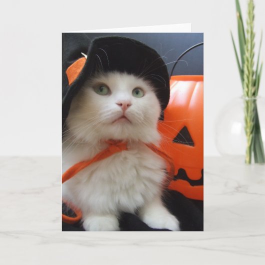Das Halloween einer Katze Karte (Vorderseite)