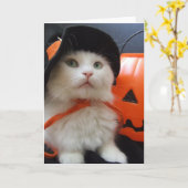 Das Halloween einer Katze Karte (Gelbe Blume)