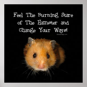 Das Hamster-Plakat Poster
