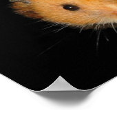 Das Hamsterplakat Poster (Ecke)