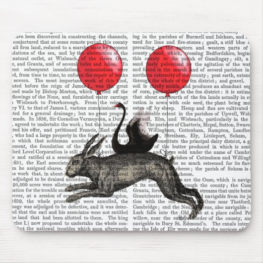 Das Hareschiff Mousepad (Vorne)