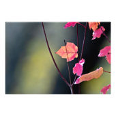 Das harte Holz brechen Fotodruck (Vorne)