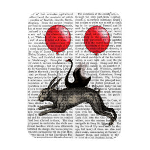 Das Hase-Schiff Magnet