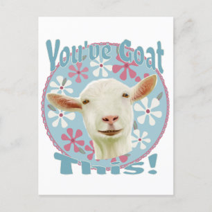 Das hast du! Förderung von Ziegenrosa und Blau Postkarte