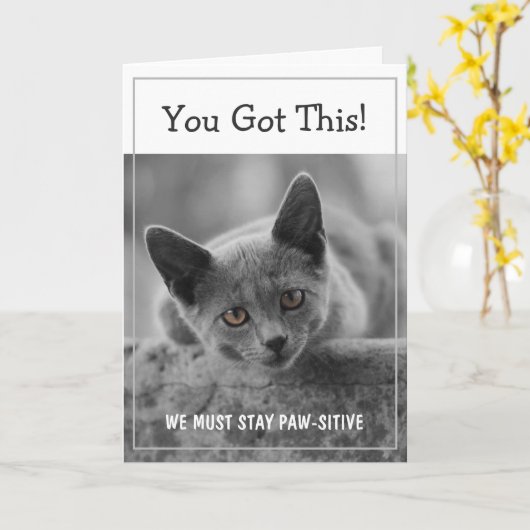 Das hast du Got! Wir müssen Paw-sitiv Bleibe haben Karte (Gelbe Blume)