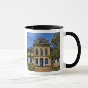 Das Hauptgebäude des Schlosses, renoviert durch Tasse