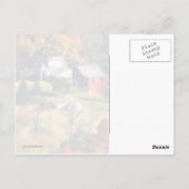 Das Haus Postkarte (Rückseite)