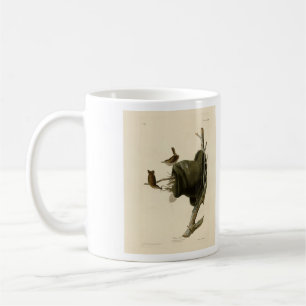Das Haus Wren von Audubons Vögeln Amerikas Kaffeetasse