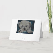 Das Havanese Karte (Rückseite)