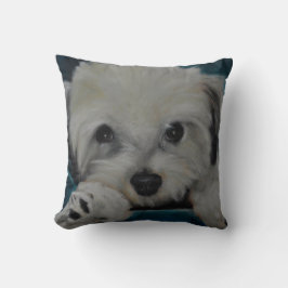 Das Havanese Kissen