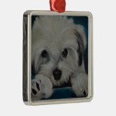 Das Havanese Silbernes Ornament (Rechts)