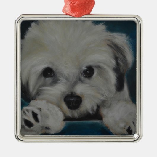 Das Havanese Silbernes Ornament (Vorne)