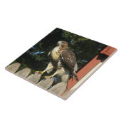 Das Hawk-Tile-Trivet Fliese (Seite)