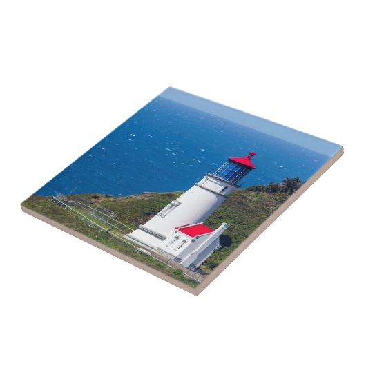 Das Heceta Head Lighthouse in der Nähe von Florenz Fliese (Seite)