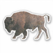 Das heilige Buffalo Aufkleber (Vorderseite)