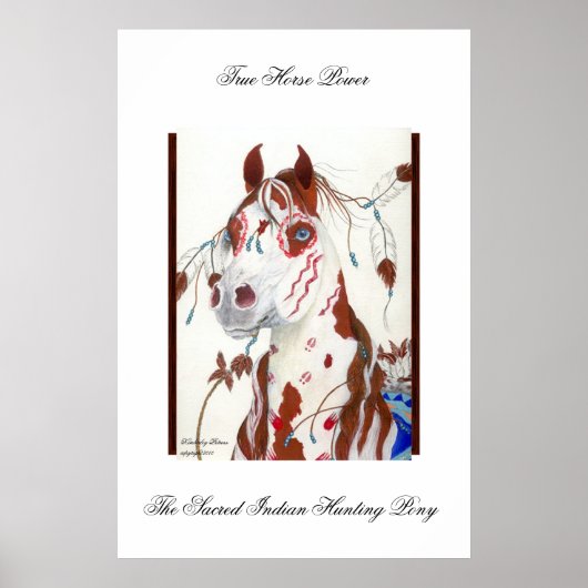 Das heilige indische Jagdpony Poster (Vorne)