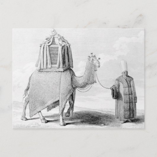 Das heilige Kamel Postkarte (Vorderseite)