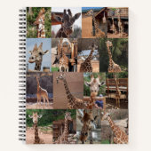 Das Herd-Notebook Notizblock (Vorderseite)