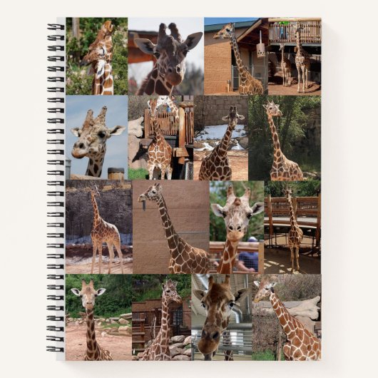 Das Herd-Notebook Notizblock (Vorderseite)