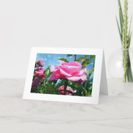 Das herrliche Rosa erhob sich am blauen Himmel. Bl Feiertagskarte