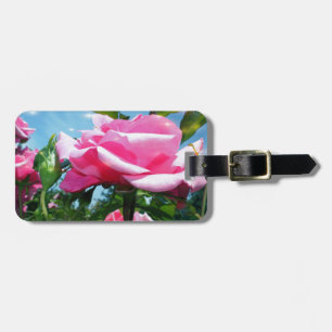 Das herrliche Rosa erhob sich am blauen Himmel. Bl Gepäckanhänger