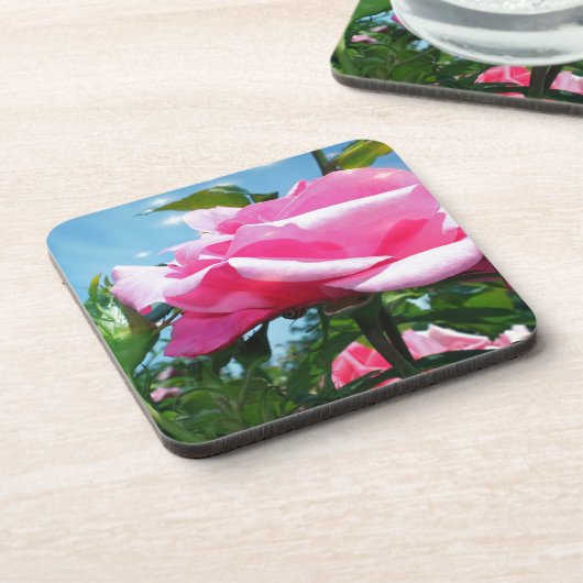 Das herrliche Rosa erhob sich am blauen Himmel. Bl Getränkeuntersetzer (Linke Seite)